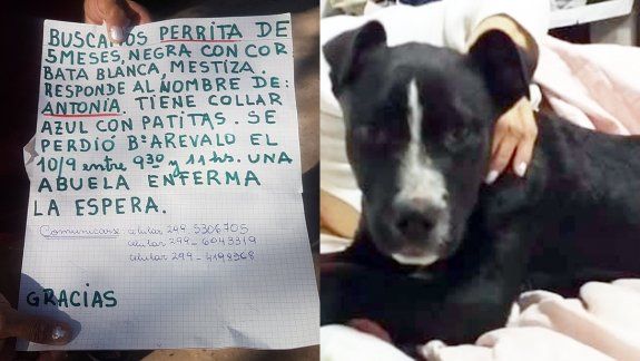 Una abuela cipoleña y su nieto buscan a su perrita Antonia