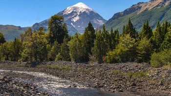 organizaciones rechazan las modificaciones de ley de bosques