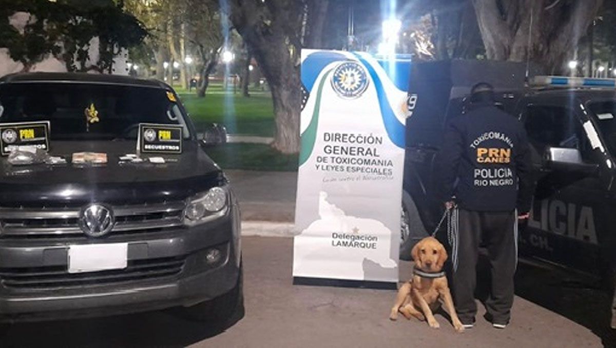 El perro Roco dio un nuevo golpe contra el narcotráfico