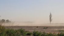 Alerta amarilla por un temporal de fuertes vientos que afectará a algunas provincias este lunes 29 de septiembre. 