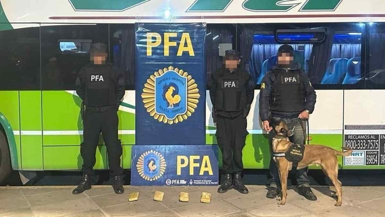 El perro Fal detectó el olor de la marihuana.