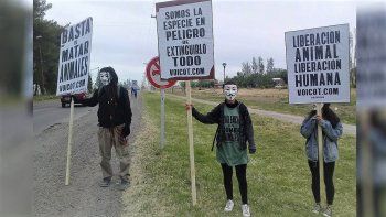 protesta de activistas veganos sorprendio a todos en la ruta chica