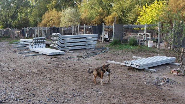Las obras en la guardería canina están en marcha y permitirán optimizar el cuidado de los animales alojados.