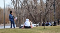 el tiempo en cipolletti: que dice el pronostico para la semana