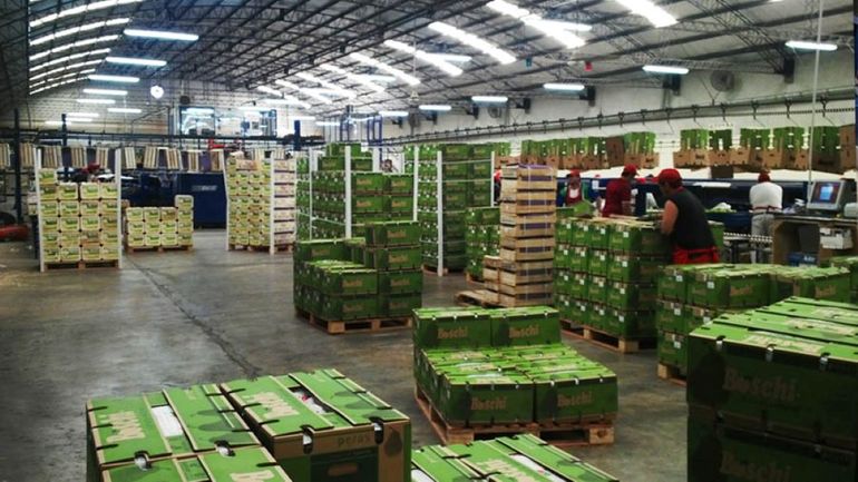 La empresa procesa la fruta en el establecimiento que posee en Cipolletti. 