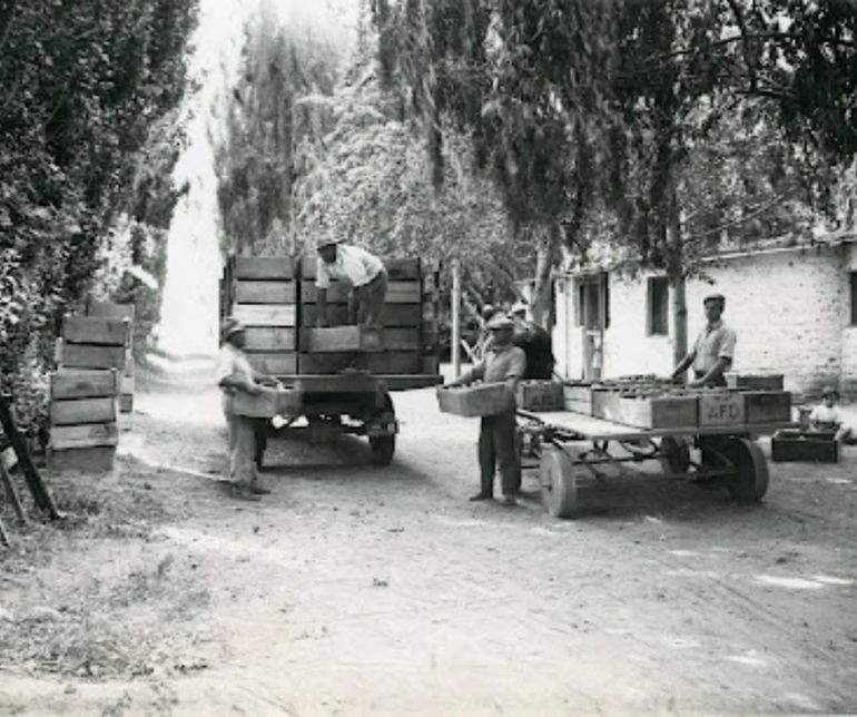 La historia de los Di Battista y los Lamperti es también la historia de Allen. Foto: gentileza