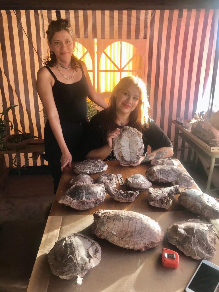 Hallaron dos tortugas de unos 90 millones de años en el lago Barreales