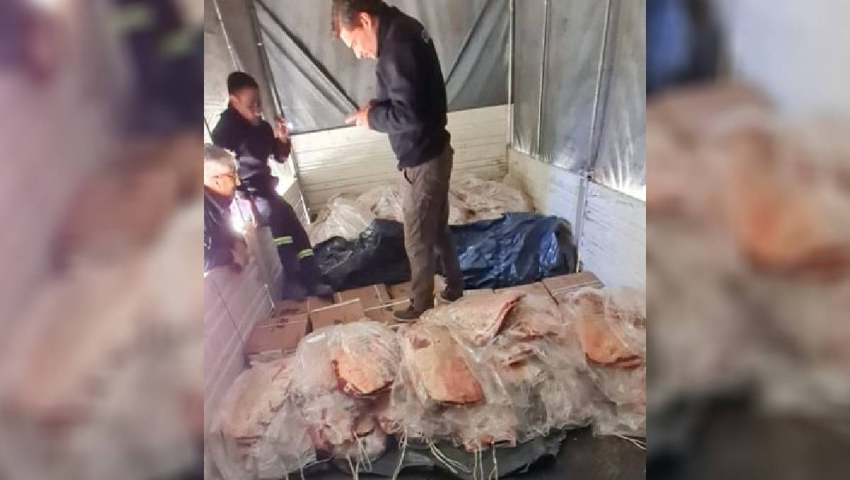 Decomisaron tres toneladas de costillares que llegaban al Valle