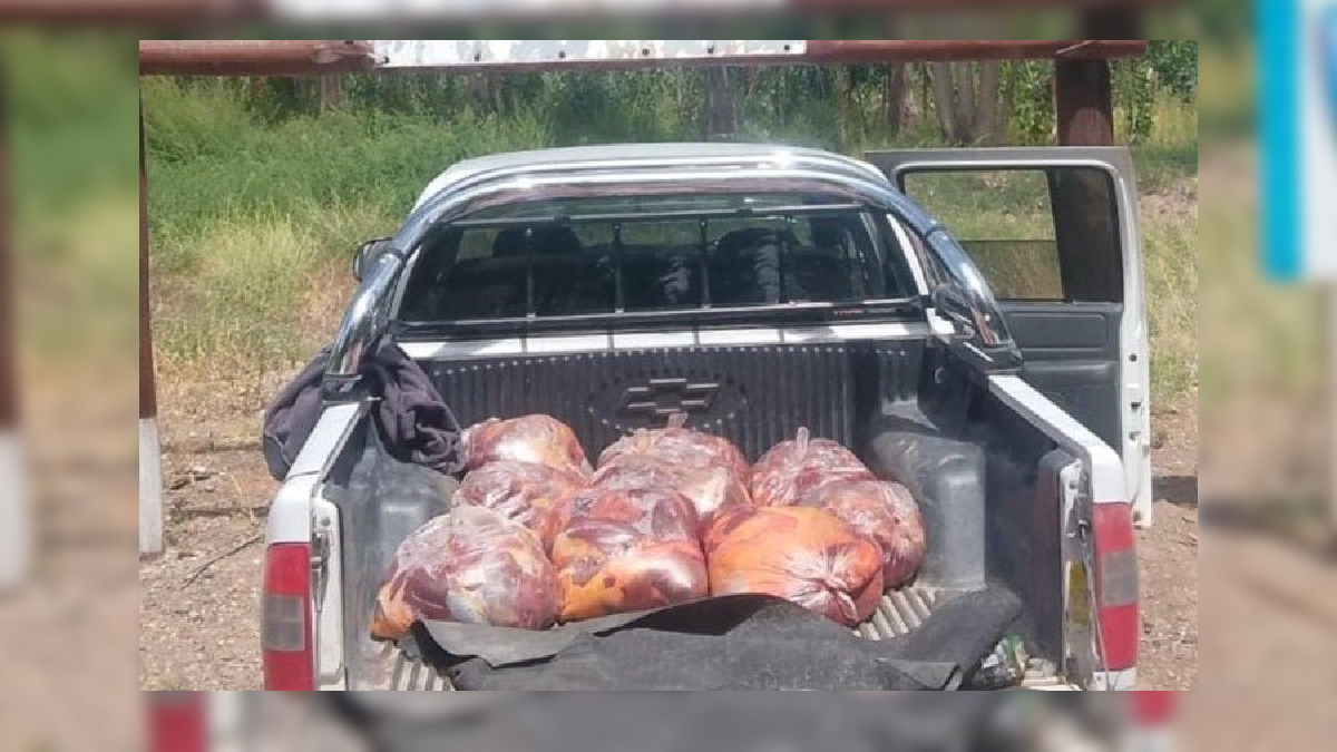 El conductor de la camioneta Chevrolet S10 realizó movimientos extraños que motivaron la inspección policial.&nbsp;