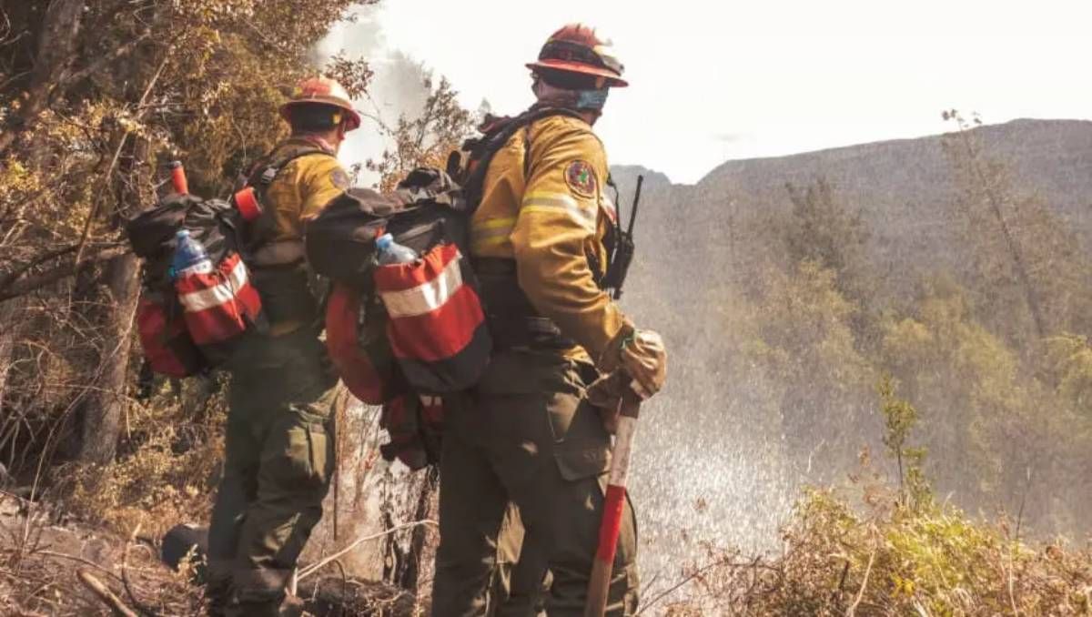 El incendio en El Bolsón consumió más de 6000 hectáreas y duró 43 días. Foto: archivo.