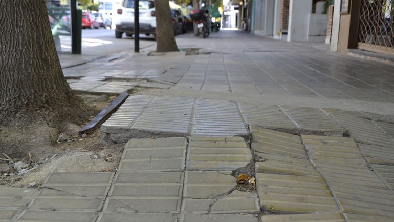 En la ciudad, son innumerables los casos de veredas levantadas, rotas o en malas condiciones.