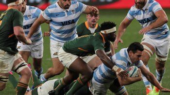 dura caida de los pumas ante sudafrica en el rugby championship