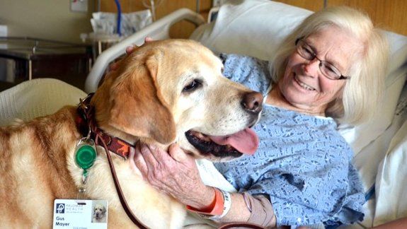 El Senado aprobó la visita de las mascotas a personas internadas