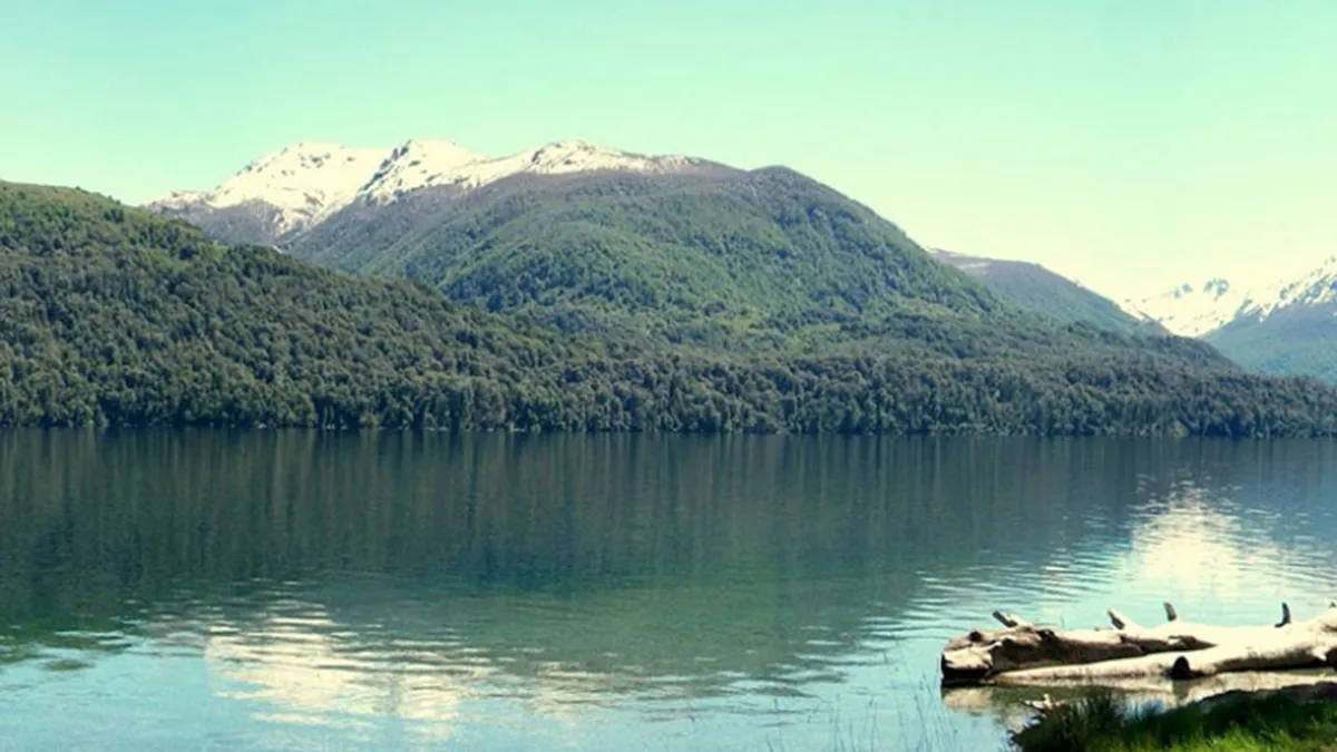 Aseguran haber visto una larga serpiente en el lago Mascardi