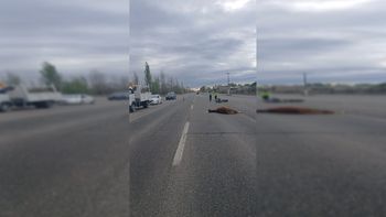 Una motociclista chocó contra un caballo en la Ruta 22.