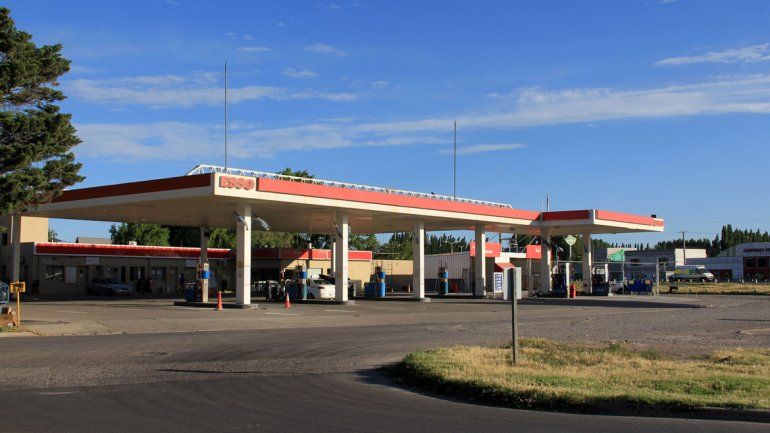 El gitanito apareció en la estación de servicio de la rotonda de las rutas 22 y 151.