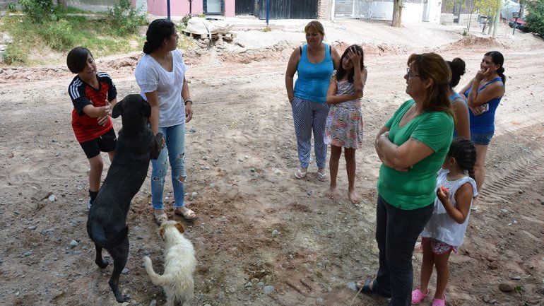 Denuncian la matanza de animales en un barrio de Neuquén