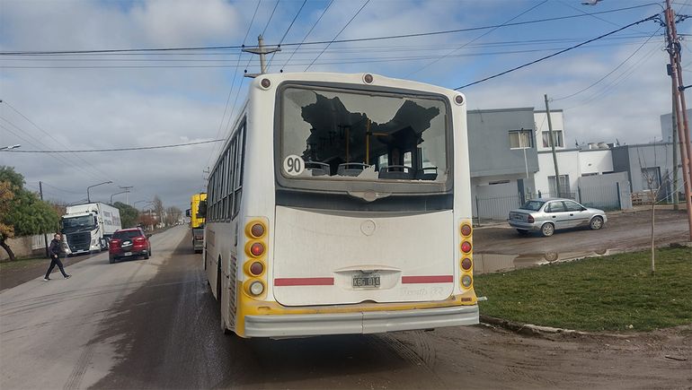 Destruyeron los vidrios de un colectivo y aseguraron que el chofer había atropellado un perro