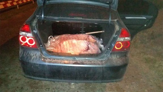 Lo atraparon intentando contrabandear 30 costillares
