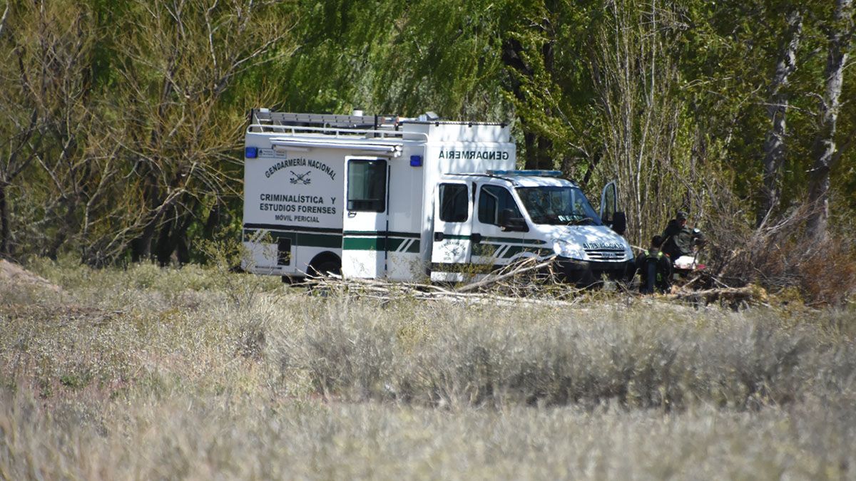 Investigan hallazgos de restos óseos en un baldío de Neuquén