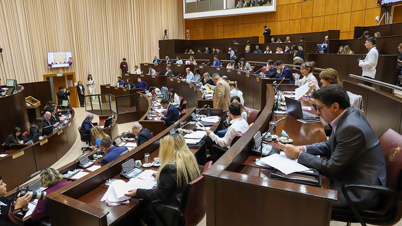 La Legislatura ya había sancionado la ley pero faltaba un protocolo. | LMCipolletti.com La Legislatura ya había sancionado la ley pero faltaba un protocolo.
