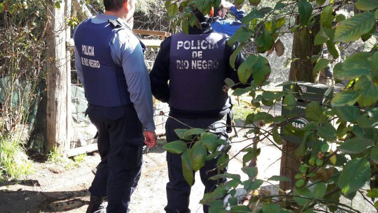 Los asaltaron y terminaron imputados por tener una plantación de marihuana en Bariloche
