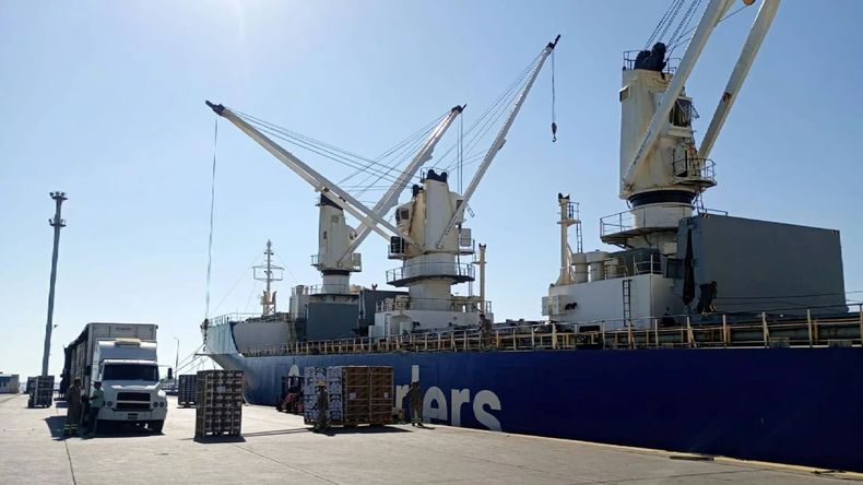 Tras varios años de crisis, las exportaciones de manzana muestran una fuerte recuperación de precios. Brasil lidera las compras y el Reino Unido paga las mejores cotizaciones del mercado. | LMCipolletti.com Tras varios años de crisis, las exportaciones de manzana muestran una fuerte recuperación de precios. Brasil lidera las compras y el Reino Unido paga las mejores cotizaciones del mercado.