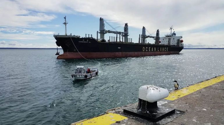 Descargan en Puerto SAE las placas acero para los tanques del oleoducto de Vaca Muerta