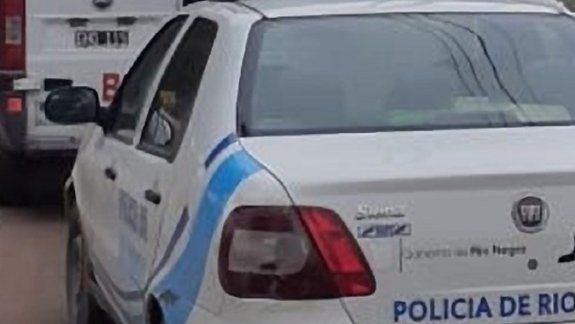 Mató una perra a hachazos y cuando intervino la policía mintió sobre los motivos&nbsp;