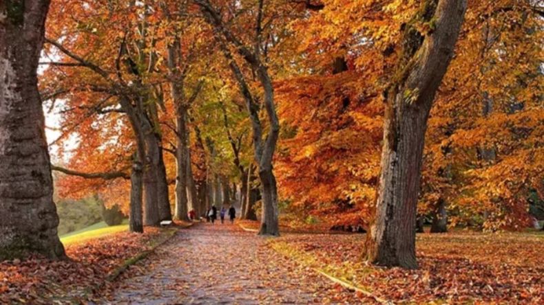 El equinoccio marca el inicio del otoño en el hemisferio sur y establece un equilibrio entre la duración del día y la noche. | LMCipolletti.com El equinoccio marca el inicio del otoño en el hemisferio sur y establece un equilibrio entre la duración del día y la noche.