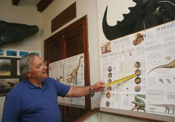 Renovadas propuestas en el museo