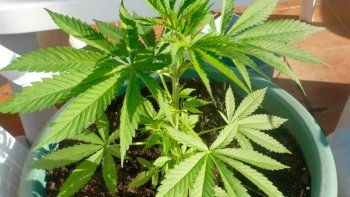 La foto es ilustrativa.&nbsp;