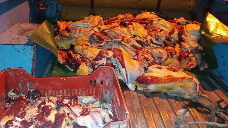 Rutas cuidadas: un gran despliegue preventivo policial