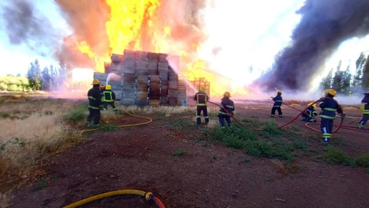 La impactante imagen que captó el medio local LCR.