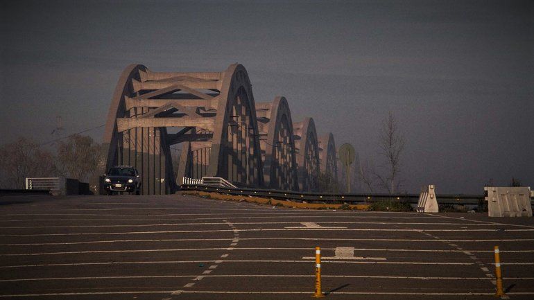 Sorpresa: dos cisnes interrumpieron el tráfico sobre los puentes carreteros