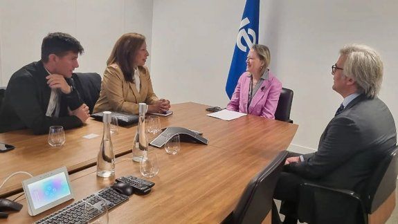 Carreras habló de su plan de Hidrógeno con la Agencia Internacional de Energía