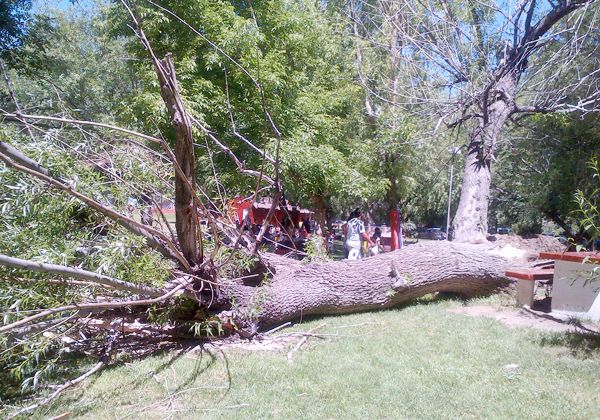 Un día de camping casi termina en una tragedia