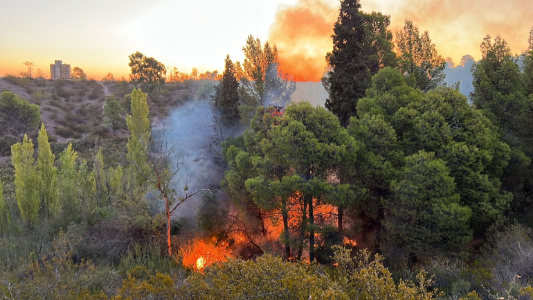 Neuquén: incendio causó susto en pleno Parque Norte