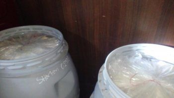 decomisaron 450 kilos de tripas para embutidos en roca