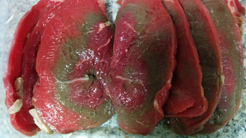 carne y pescado en mal estado: 8 comercios escrachados y 700 kilos decomisados