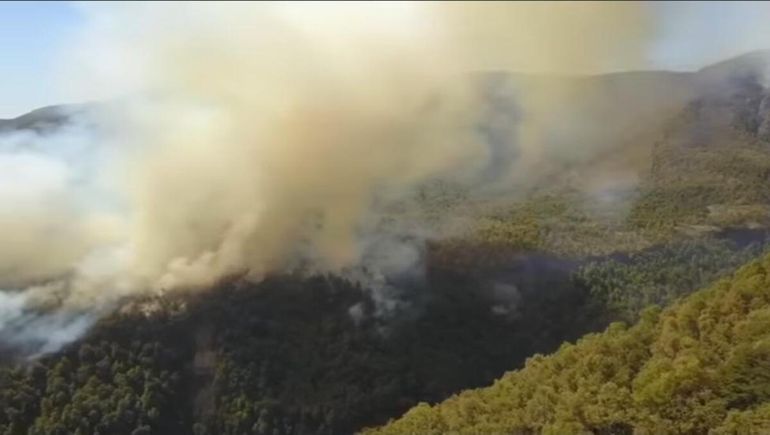 Alerta roja en Chile: nuevo incendio amenaza las casas y sigue el combate del fuego cerca de Neuquén