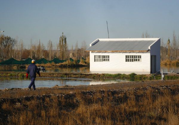 Buscan solución a la planta cloacal