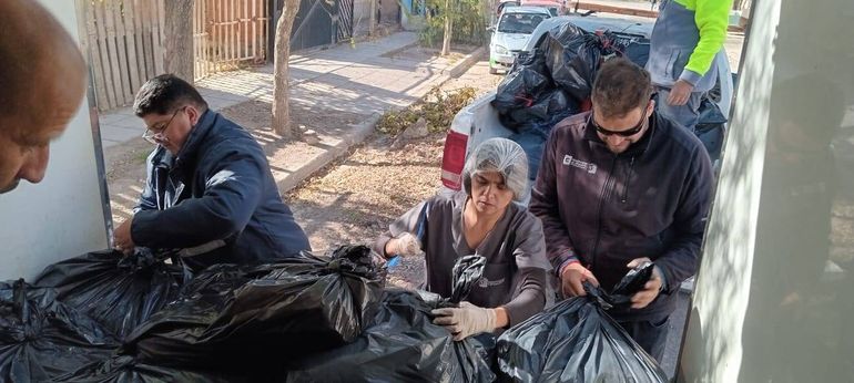 Secuestran más de 700 kilos de carne en mal estado en Cipolletti