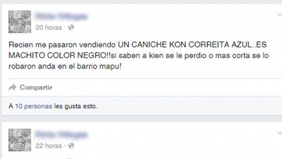 Gracias a la denuncia de una vecina, los dueños lograron dar con la mascota